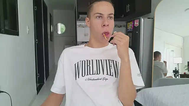 grey___27 webcam