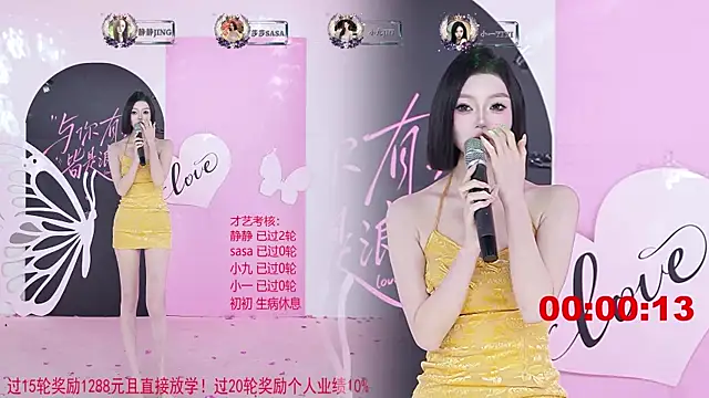 TY-002 webcam