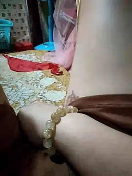 -Tara-a webcam