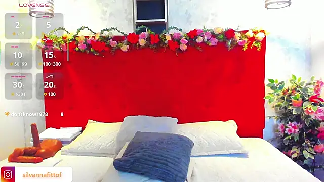 SilvannaFit webcam