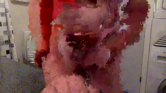 Parleg2 webcam