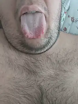 t-dog26 webcam