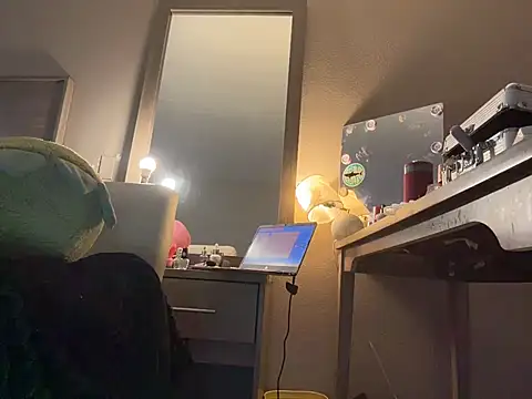MegaTinyyy webcam