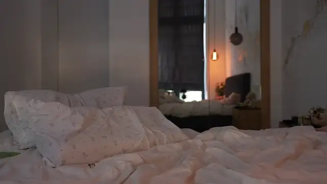 ibiddi webcam