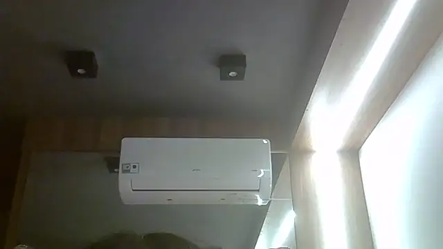 SkinnyKitten webcam