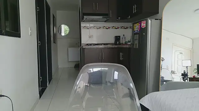 grey___27 webcam