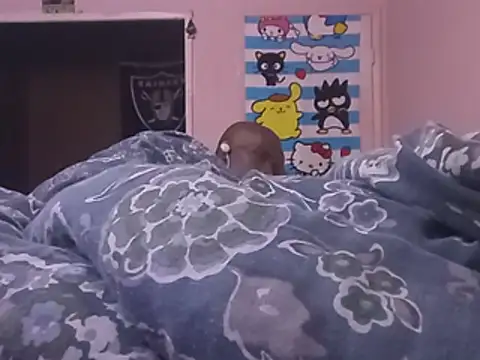 Blkstylion webcam