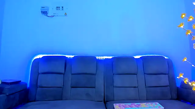 dulcevegga webcam