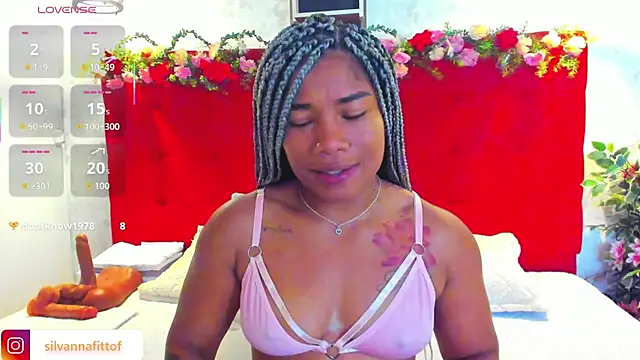 SilvannaFit webcam