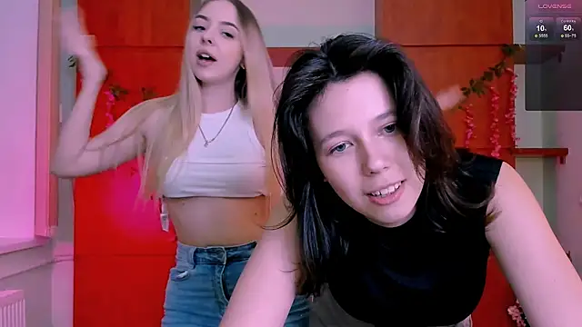 aria_wild_ webcam