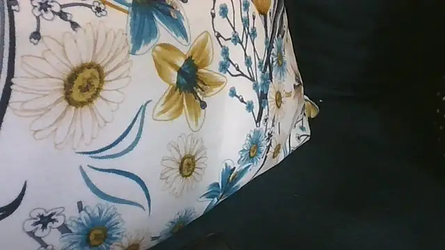 Coco2vee webcam