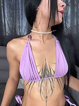 Dakota-fire webcam