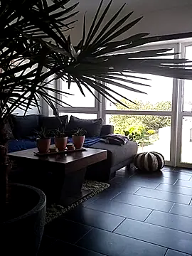 hamstiboy55 webcam