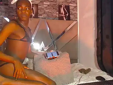 black_tsx webcam