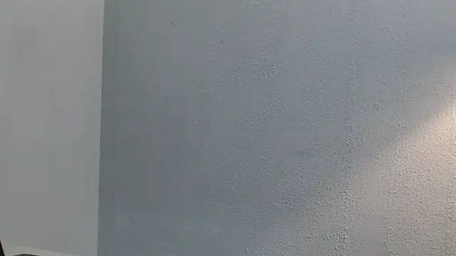 desiree1981 webcam