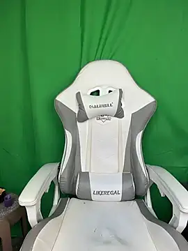 DD-101 webcam