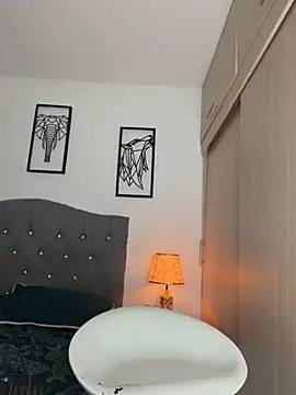 Maximiliano_ford webcam