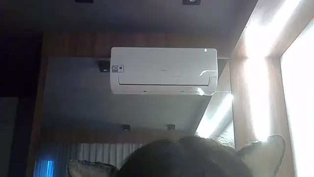 SkinnyKitten webcam