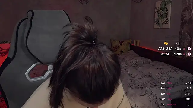 Alaska_ya webcam
