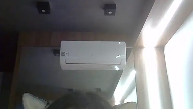 SkinnyKitten webcam