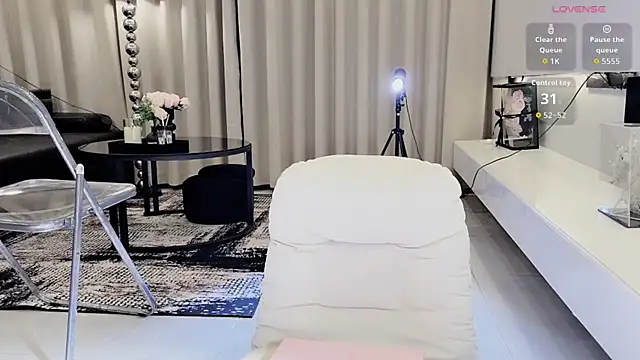 lvy-w webcam
