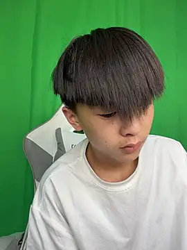 DD-101 webcam