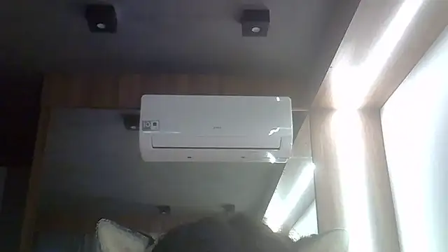 SkinnyKitten webcam