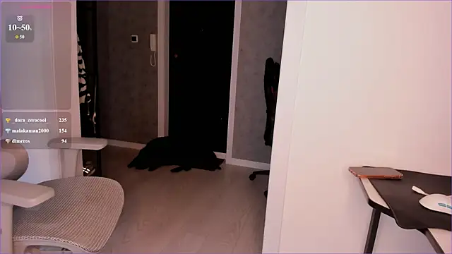 Mari___Anna webcam
