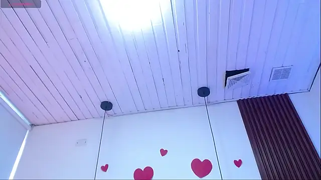 Haddes_as webcam