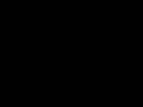 Blkstylion webcam
