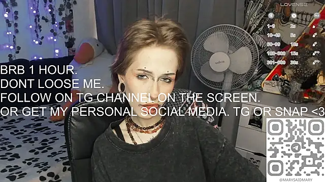 say_mary webcam