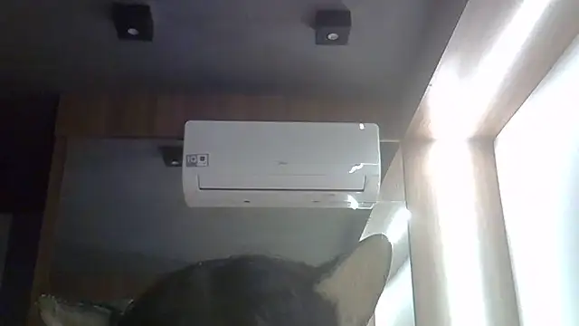 SkinnyKitten webcam