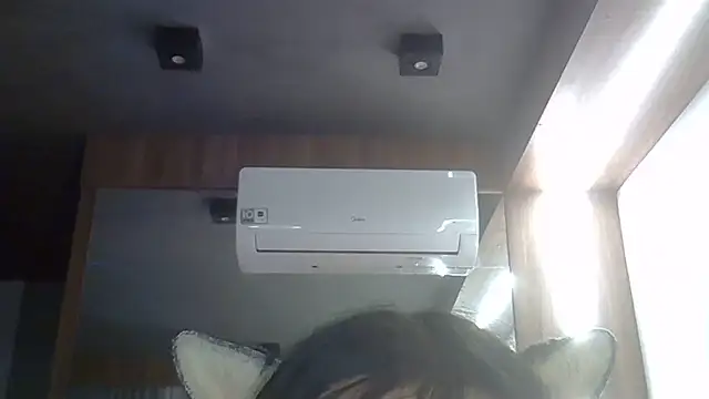 SkinnyKitten webcam
