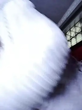 ShantelBootyBoobs webcam