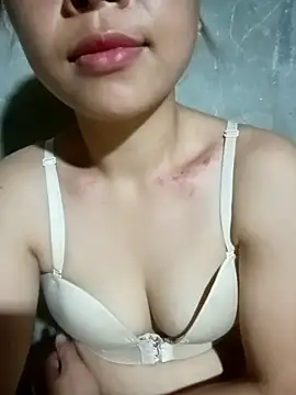 embe1144 webcam