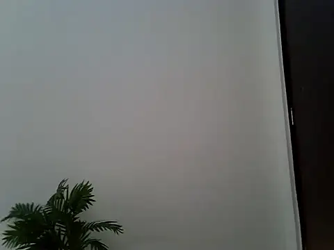 Bianca0011 webcam