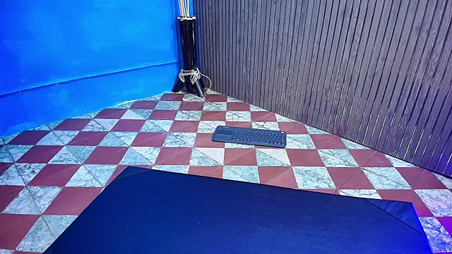dante_estarlink webcam