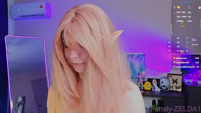 zelda_1 webcam