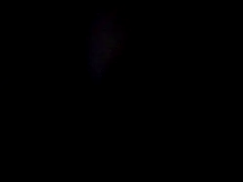 dustbunny64 webcam