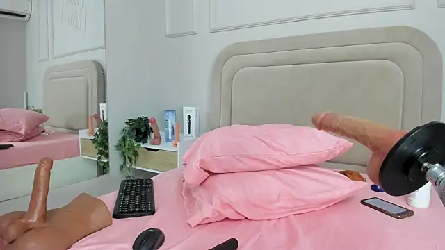 Liastarkk webcam