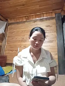 Td3di webcam