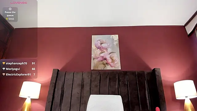_MiLa_Dyva webcam