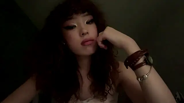 NullllTigers webcam