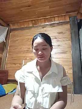 Td3di webcam