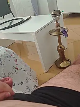 t-dog26 webcam