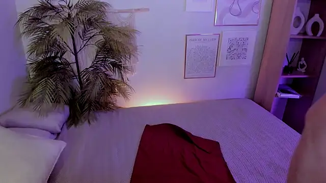 Shannonshine webcam
