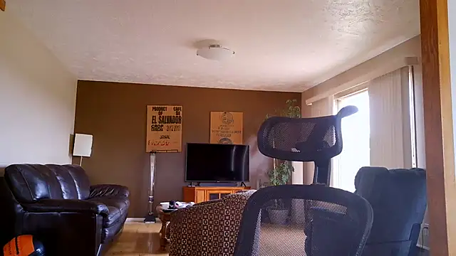 BasicAnt webcam