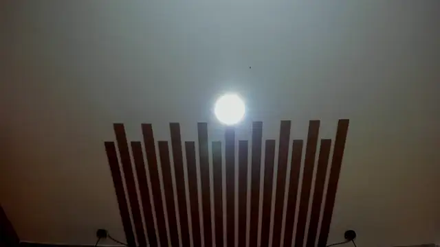 ZoeANDAlex_ webcam