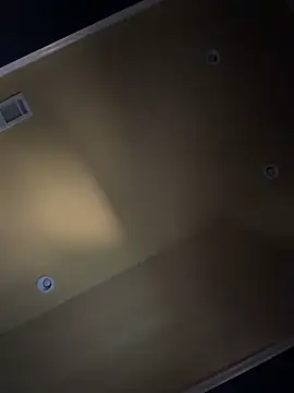 dingoding webcam