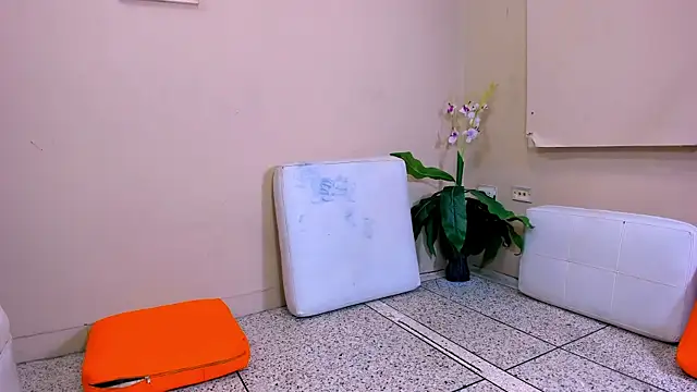 platonic_love_ live sex cam